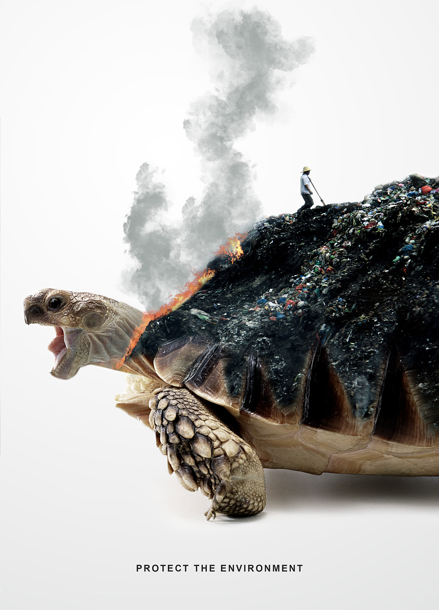 用艺术点亮动物保护 胡子韩原创文艺海报设计